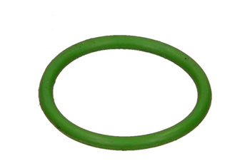 MAGNETI MARELLI ORING PAROWNIK