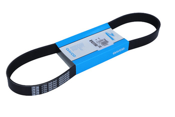 DAYCO PASEK WIELOROWKOWY 7PK855