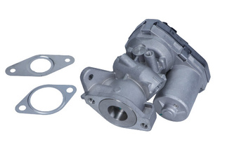 MAGNETI MARELLI Zawór EGR EV038 Fiat