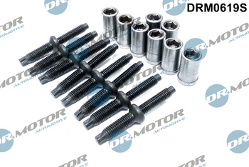 DR. MOTOR Zestaw śrub wtryskiwacza DRM0619S CITROEN C4 2,0HDI 98- 16 elementów