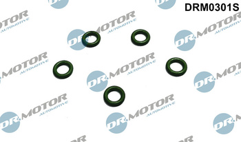 DR. MOTOR Oring przelewu Peugeot 308 2,0HDI 5 szt. DRM0301S