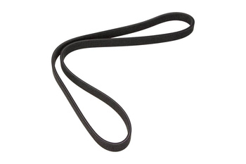 DAYCO Pasek Wielorowkowy 6DPK1195DAY