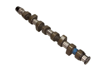 KOLBENSCHMIDT Wałek Rozrządu VW 1.9 SDI / 1.7 SDI 50006204