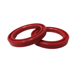 Uszczelniacz Siłownika 20x30x10 TTU PU 10szt.