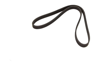 DAYCO Pasek klinowy wielorowkowy 6DPK1215 6DPK1215DAY