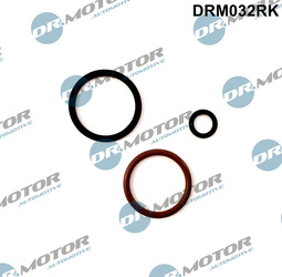 DR. MOTOR Zestaw uszczelek pompowtryskiwacza VW GOLF 2,0TDI 06- DRM032RK