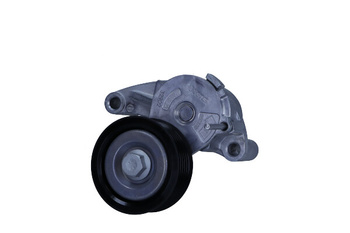 INA Napinacz paska wielorowkowego Volvo 2.0 T6 S60/V60/XC60/XC90 534071010