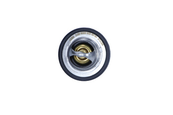 MEYLE Termostat Renault Megane 89C 16-282280009