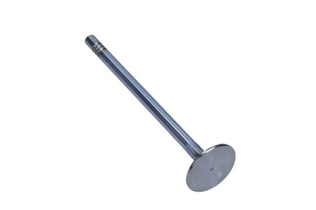 FRECCIA Zawór ssący R6145/SCR FORD 2.0TDCI/2.2TDCI 16V