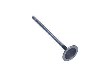 FRECCIA Zawór Ssący R6663/S Peugeot 1.6 16V