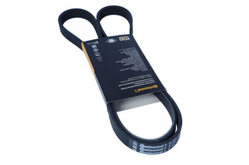 CONTITECH PASEK WIELOROWKOWY 5PK1427