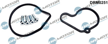 DR. MOTOR ZESTAW NAPRAWCZY POMPY