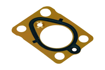 DELPHI ORING POMPY WTRYSKOWEJ CITROEN C4 2,0 06-