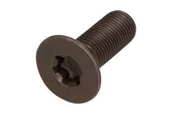 OE VAG Śruba Wałka Rozrządu 06D109281D do VW 2.0 TFSI