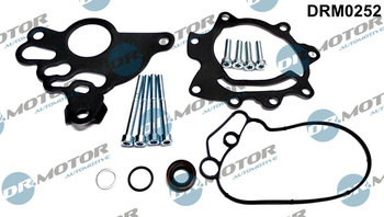 DR. MOTOR Zestaw Naprawczy Pompy Próżniowej VW 2.0 TDI DRM0252