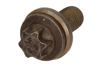 OE BMW Śruba rozrządu 11317797516 BMW 5 (E60, F07) 2,0 D (1 szt)