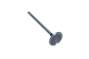 FRECCIA Zawór Ssący CITROEN 1.4/1.6 16V R6712/S