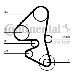 CONTITECH Pasek Rozrządu CT1162 141 zębów do CITROEN BERLINGO, FORD 1.6 HDI/TDCI 10-