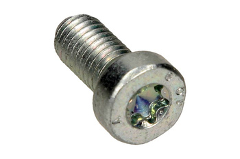 BOSCH Śruba pompy wtryskowej F01M100684