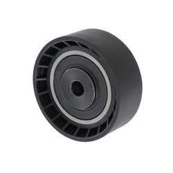 SKF Rolka Paska Wielorowkowego VKM36025 RENAULT CLIO 98-, KANGOO 01- (Silnik 1,2 16V)