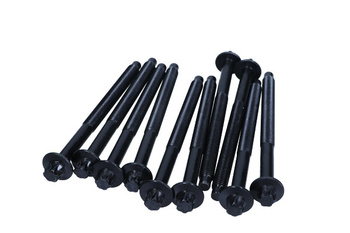 VICTOR REINZ Śruby Głowicy Cylindrów Citroen Peugeot 1.4 1.6 HDI C3 C4 C5 308 508 10- 14-32336-01