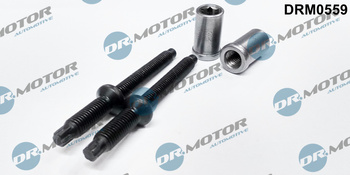 DR. MOTOR Zestaw śrub wtryskiwacza Citroen C4 1,6HDI 03- 4 szt. DRM0559