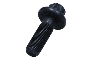 OE PSA 080678 Śruba wałka rozrządu Citroen C4/Mini/Peugeot 1.6 (06-)