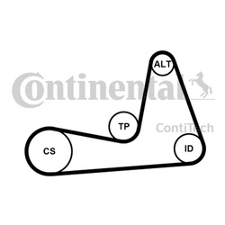 CONTITECH Zestaw paska wielorowkowego 6PK1130K1 RENAULT 1,5DCI, 1,4/1,6 16V