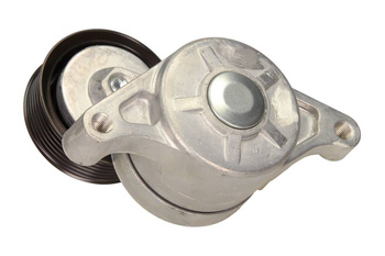 INA Napinacz paska wielorowkowego 534045710 MAZDA 2 1.3/1.5 07-