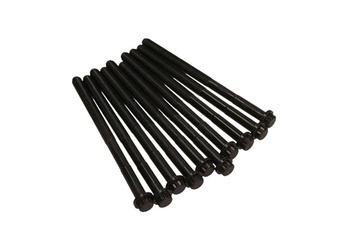 VICTOR REINZ ŚRUBY GŁOWICY TOYOTA RAV4 III 2.2 06- / 2.0D 06- 14-32327-01