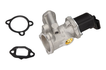 MAXGEAR Zawór EGR 27-0199 Fiat
