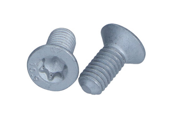 TEXTAR Śruba tarczy hamulcowej TPM0012 Komplet (2 szt.) PEUGEOT Przód/Tył 106/205/206/207/208/301/307/308/407/508/1007/2008/3008/5008 od 83