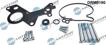 DR. MOTOR Zestaw naprawczy pompy próżniowej DRM0190 VW 2,0TDI mały