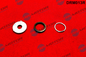 DR. MOTOR Zestaw naprawczy wtryskiwacza DRM013R