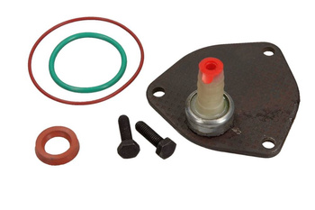 DR. MOTOR ZESTAW NAPRAWCZY POMPY PRÓŻNIOWEJ VW GOLF 1,7D DRM0323