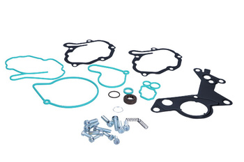 MEAT&DORIA Zestaw naprawczy pompy próżniowej VW 1,9TDI MD91147