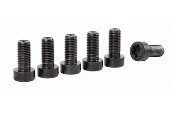 SACHS Zestaw Śrub Koła Zamachowego BMW 1874 000 074