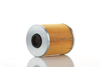 WP2019X WKŁAD FILTRU PALIWA -  PZL Filters