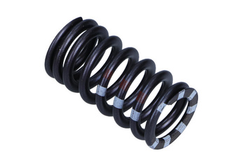 OE VAG SPRĘŻYNA ZAWORU 06E109623H AUDI Q5 2,0 TFSI 09-