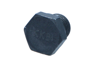 VAG OE Śruba spustu oleju AUDI A4 1.6 04- N90288901