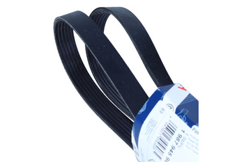 BOSCH Pasek Wielorowkowy 6PK1805 1987945986