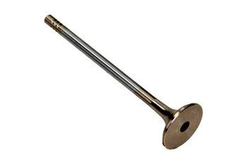 FRECCIA Zawór Wydechowy BMW 1.5D/2.0D 16V R6621/RCR