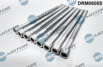 DR. MOTOR Zestaw Śrub Pompowtryskiwacza VW 2.0TDI (M6X88) 8SZT. DRM0608S