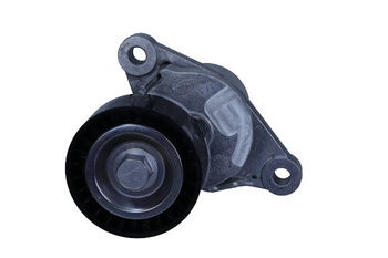 INA Napinacz Paska Wielorowkowego 534065510 CITROEN 1,6 BLUEHDI