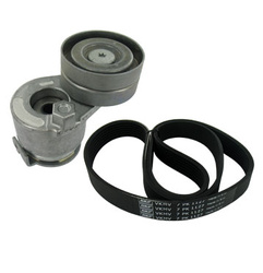 SKF Zestaw Paska Wielorowkowego VKMA36072 RENAULT 1,9DCI MEGANE II / III