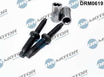 DR. MOTOR Zestaw śrub wtryskiwacza DRM0619 CITROEN C4 2,0HDI 98- 4 elementy