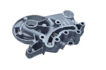 KOLBENSCHMIDT Podpora Wałka Rozrządu VW PASSAT CC 1.8TSI 11- 50007669