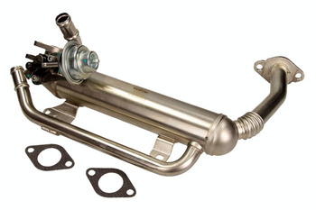NRF Zawór EGR NRF48306 VW 2.0TDI Chłodnica Spalin (Moduł)