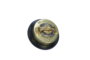 MAGNETI MARELLI TERMOSTAT TE0136 VOLVO 87C