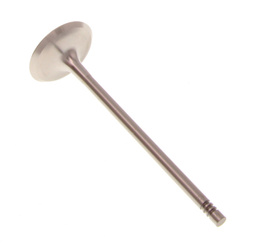 TRW Zawór ssący TRW111217 BMW 2.5 24V